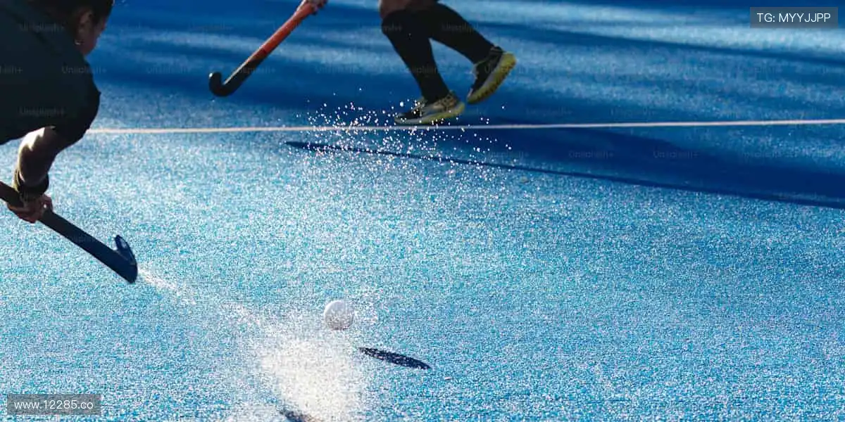 秘密导航,开启无限可能!🔍✨